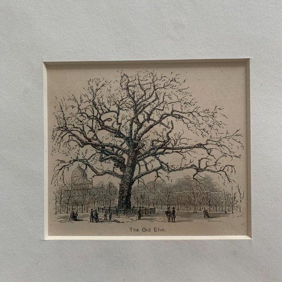 Mounted Antique Print - Picture 1 of 2